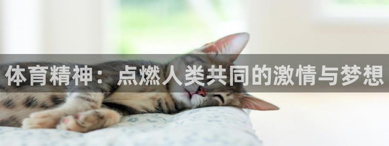 企鹅体育app投注入口：体育精神：点燃人类共同的激情与梦想