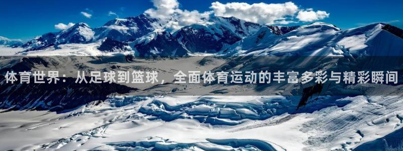 企鹅体育投注入口：体育世界：从足球到篮球，全面体育运动的丰富多彩与精彩瞬间