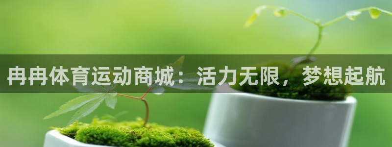 企鹅体育是腾讯的吗
