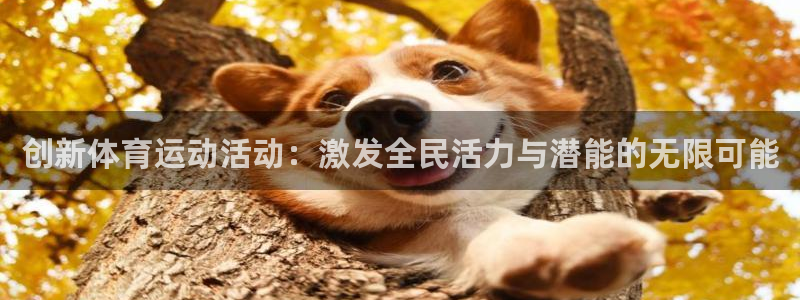 企鹅体育排球