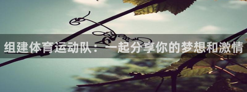 企鹅体育注册