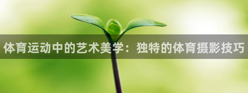 企鹅体育和腾讯体育有关系吗：体育运动中的艺术美学：独特的体育摄影技巧